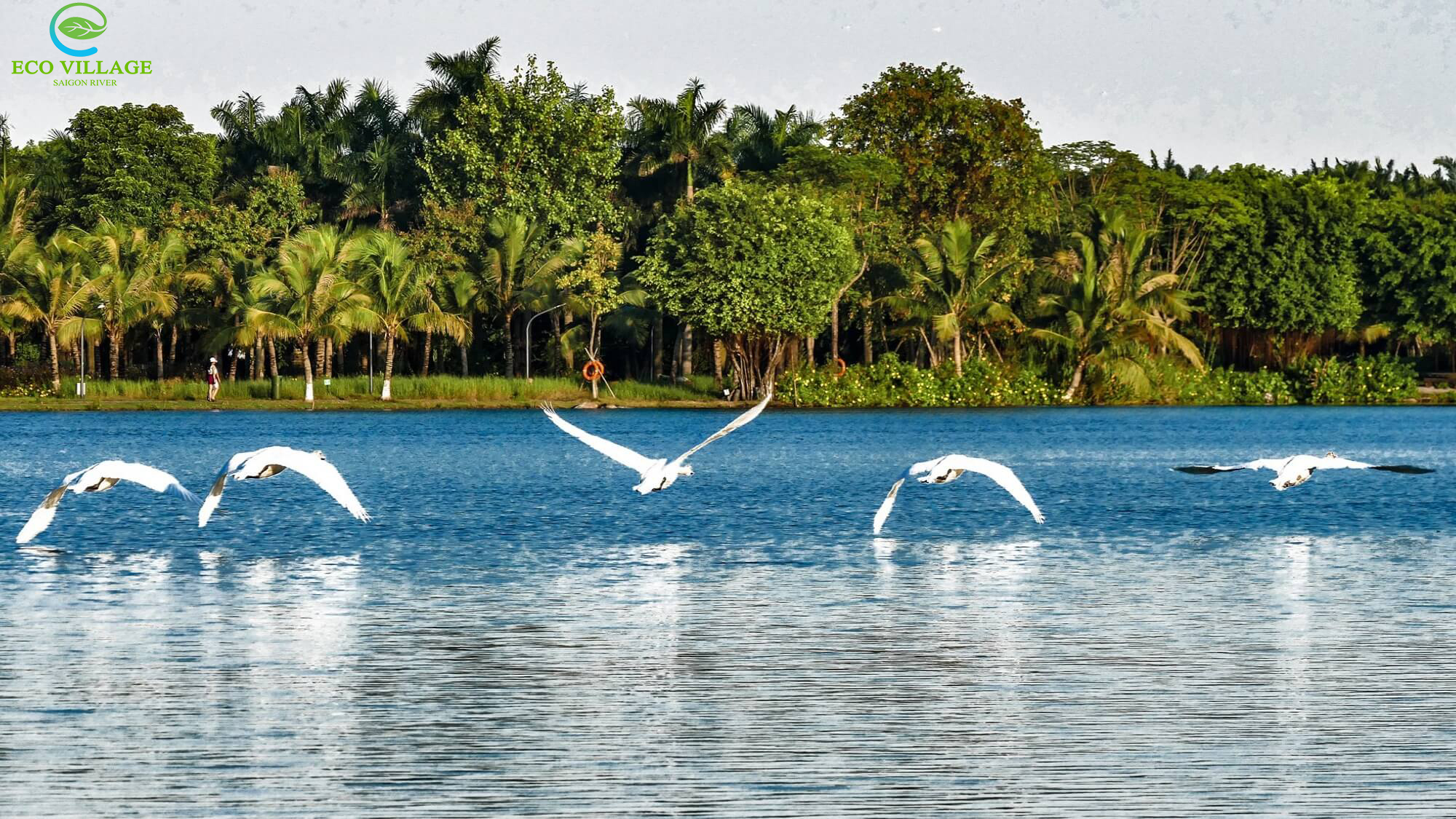 Tiện ích dự án Eco Village Saigon River