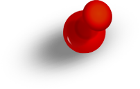 pin